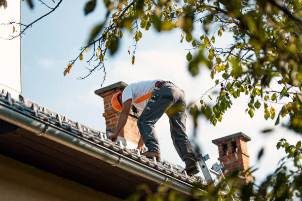 Quick and Trustworthy Emergency Roof Repair Services in Fate, TX